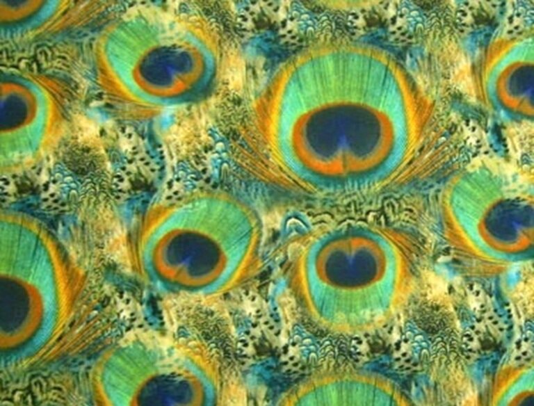 Golden-Peacock.jpg