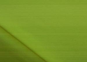 Moss Green