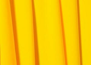 Daffodil 
